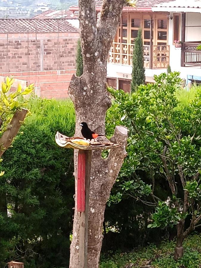 Bird House - Apartament Jardín Esterno foto