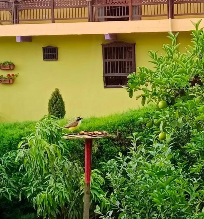 Bird House - Apartament Jardín Esterno foto