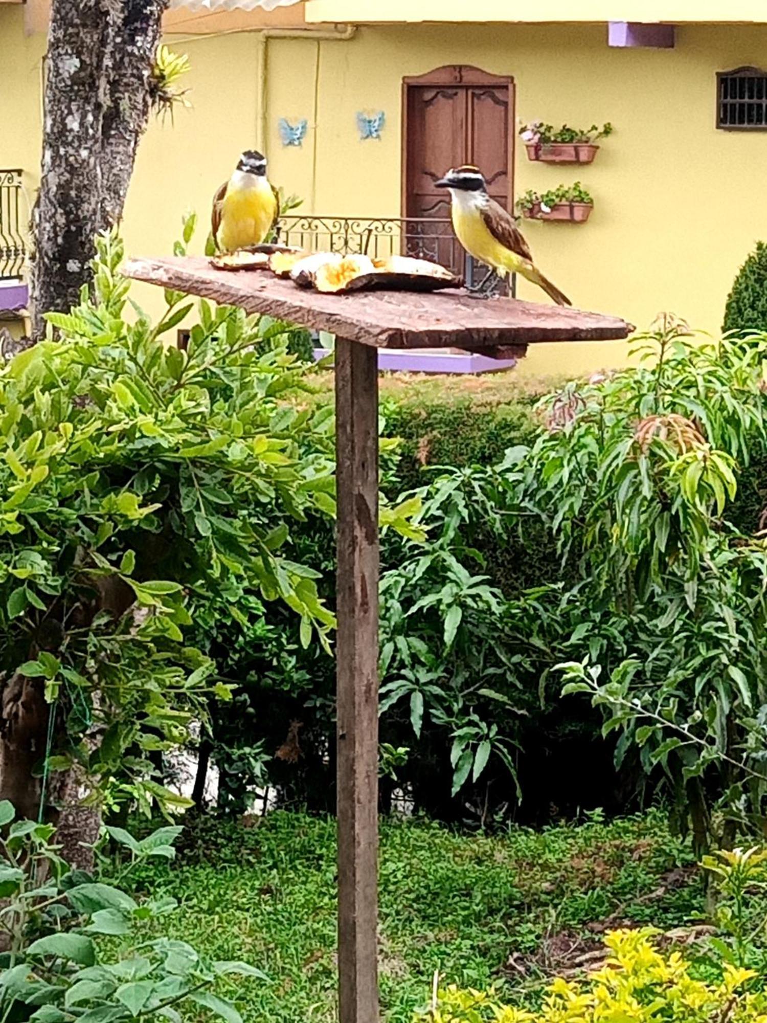 Bird House - Apartament Jardín Esterno foto